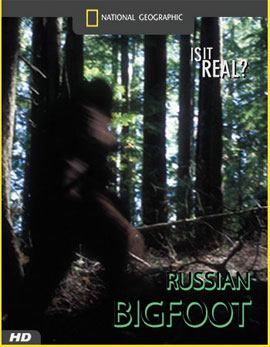 http://hostel.nstu.ru/films/Posters/1129310.jpg