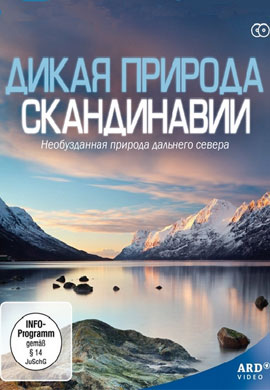 http://hostel.nstu.ru/films/Posters/12527830.jpg