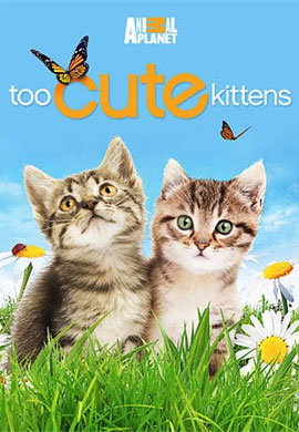 http://hostel.nstu.ru/films/Posters/21342402.jpg