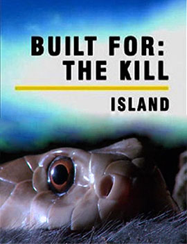 http://hostel.nstu.ru/films/Posters/2254595.jpg