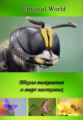 http://hostel.nstu.ru/films/Posters/23721208.jpg