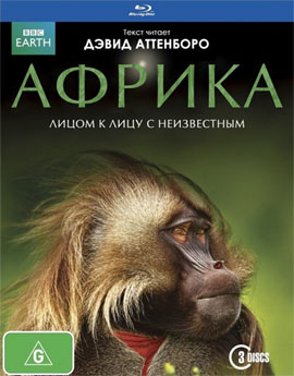 http://hostel.nstu.ru/films/Posters/23756906.jpg