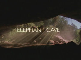 http://hostel.nstu.ru/films/Posters/2414790.jpg