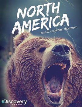 http://hostel.nstu.ru/films/Posters/25355136.jpg