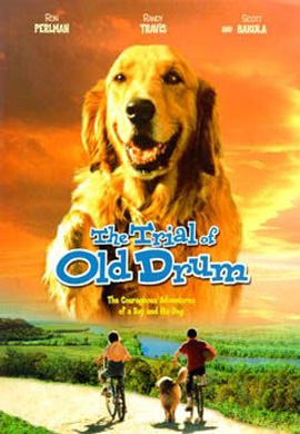 http://hostel.nstu.ru/films/Posters/25725718.jpg