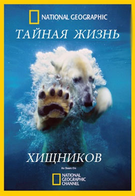 http://hostel.nstu.ru/films/Posters/25827669.jpg