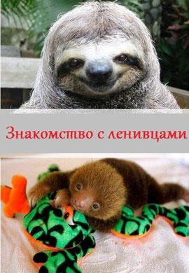 http://hostel.nstu.ru/films/Posters/26555727.jpg