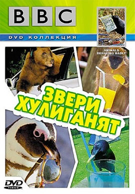 http://hostel.nstu.ru/films/Posters/2850756.jpg