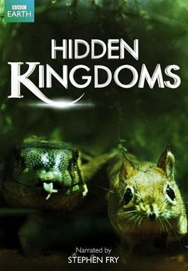 http://hostel.nstu.ru/films/Posters/28733902.jpg