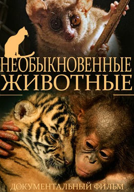 http://hostel.nstu.ru/films/Posters/28797244.jpg