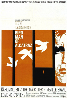 http://hostel.nstu.ru/films/Posters/31662920.jpg