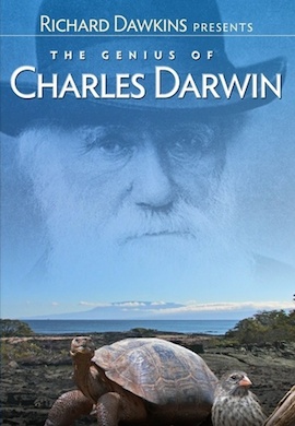 http://hostel.nstu.ru/films/Posters/36307301.jpg