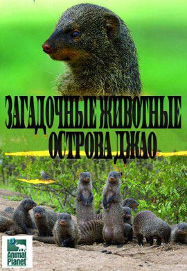 http://hostel.nstu.ru/films/Posters/36387585.jpg