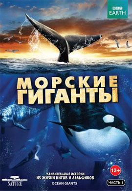 http://hostel.nstu.ru/films/Posters/36458719.jpg