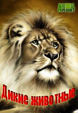 http://hostel.nstu.ru/films/Posters/38327620.jpg