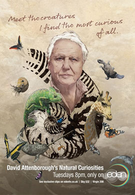 http://hostel.nstu.ru/films/Posters/39155328.jpg