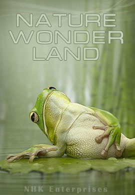 http://hostel.nstu.ru/films/Posters/39780640.jpg
