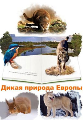 http://hostel.nstu.ru/films/Posters/40346283.jpg