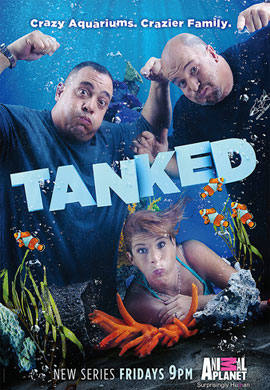 http://hostel.nstu.ru/films/Posters/42857085.jpg