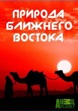http://hostel.nstu.ru/films/Posters/43393944.jpg