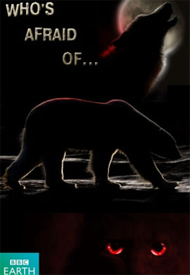 http://hostel.nstu.ru/films/Posters/44773783.jpg