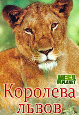 http://hostel.nstu.ru/films/Posters/45056271.jpg