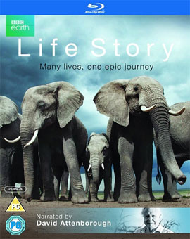 http://hostel.nstu.ru/films/Posters/45394553.jpg