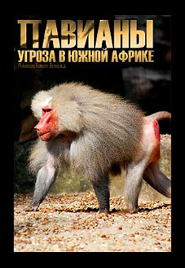 http://hostel.nstu.ru/films/Posters/45703921.jpg