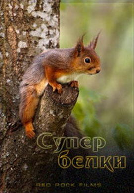 http://hostel.nstu.ru/films/Posters/46399204.jpg