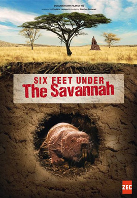 http://hostel.nstu.ru/films/Posters/47462569.jpg