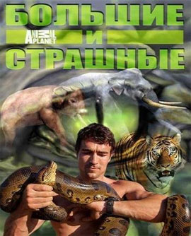 http://hostel.nstu.ru/films/Posters/48679979.jpg