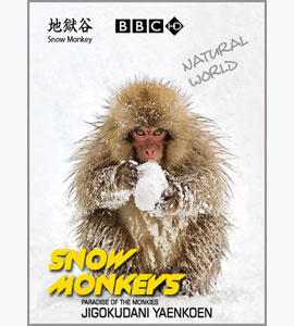 http://hostel.nstu.ru/films/Posters/5027995.jpg