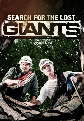 http://hostel.nstu.ru/films/Posters/50830726.jpg