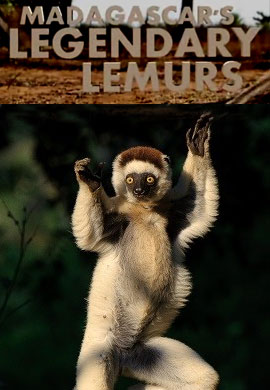 http://hostel.nstu.ru/films/Posters/51384152.jpg