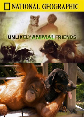 http://hostel.nstu.ru/films/Posters/5236654.jpg