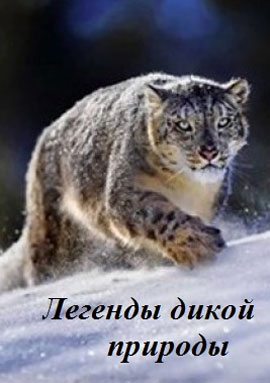 http://hostel.nstu.ru/films/Posters/53894251.jpg