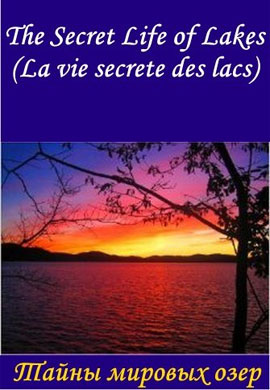 http://hostel.nstu.ru/films/Posters/54883507.jpg