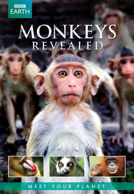 http://hostel.nstu.ru/films/Posters/56276154.jpg