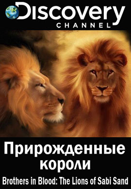 http://hostel.nstu.ru/films/Posters/57158651.jpg