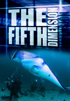 http://hostel.nstu.ru/films/Posters/59474001.jpg