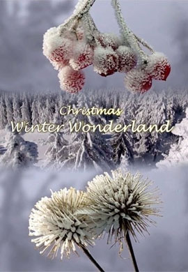 http://hostel.nstu.ru/films/Posters/61346925.jpg