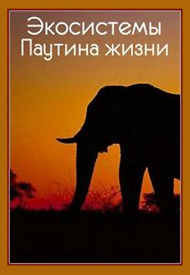 http://hostel.nstu.ru/films/Posters/65255057.jpg