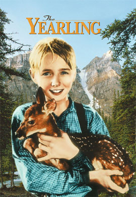 http://hostel.nstu.ru/films/Posters/67133608.jpg