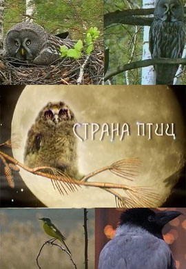 http://hostel.nstu.ru/films/Posters/70096767.jpg