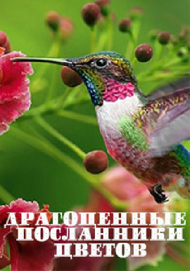 http://hostel.nstu.ru/films/Posters/73025218.jpg