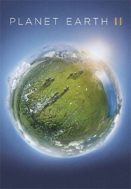 http://hostel.nstu.ru/films/Posters/73026539.jpg