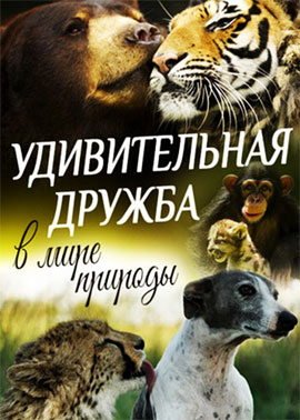 http://hostel.nstu.ru/films/Posters/73050816.jpg