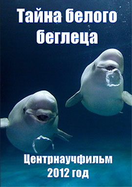 http://hostel.nstu.ru/films/Posters/73086127.jpg