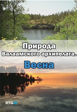http://hostel.nstu.ru/films/Posters/73110578.jpg