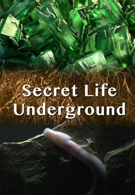 http://hostel.nstu.ru/films/Posters/73111683.jpg